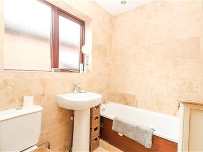 Picture 8